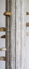 Janice_Wright Cheney_Fera Moira_2017(4)